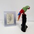 Swarovski Crystal | H.Q. Starline | Green Parrot | HQ0015207